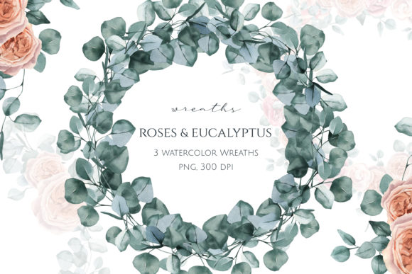 Eucalyptus and Roses Watercolor Wreaths Illustrations