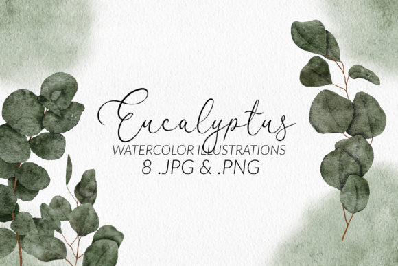 Eucalyptus Watercolor Illustration Set