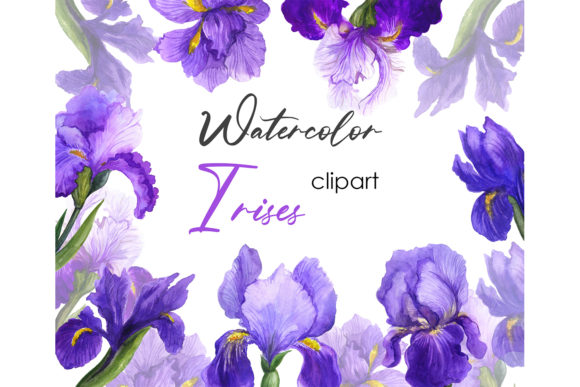Floral Clipart Watercolor Wild Floral Illustrations