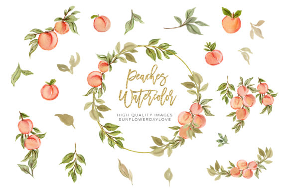 Peaches Watercolor Elements Clipart and Illustrations