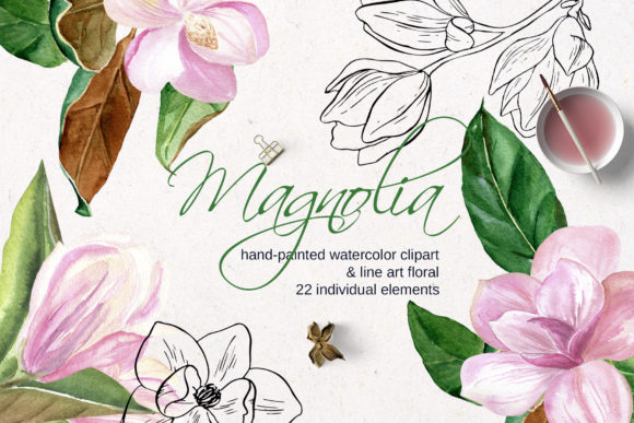 Pink Magnolia Watercolor, Illustrations