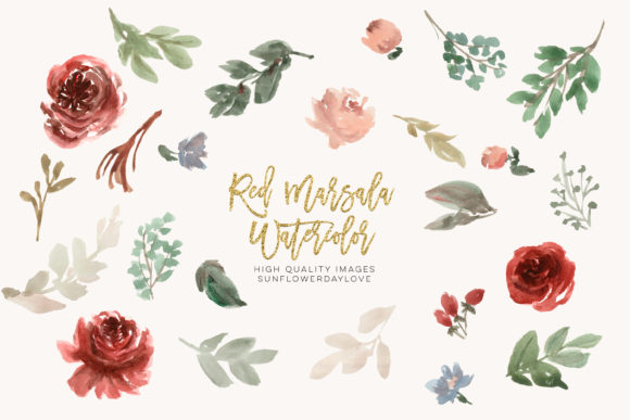 Red Marsala Watercolor Elements, Illustrations
