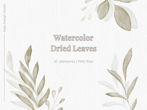 Watercolor Dried Leaves Illustration