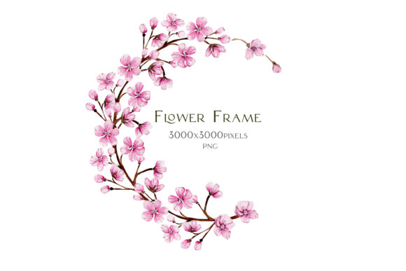 Watercolor Frame Blooming Pink Sakura Illustrations