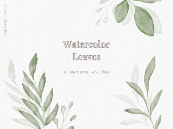 Watercolor Leaves and Greenery Illustrations