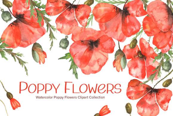 Watercolor Poppy Flowers Collection