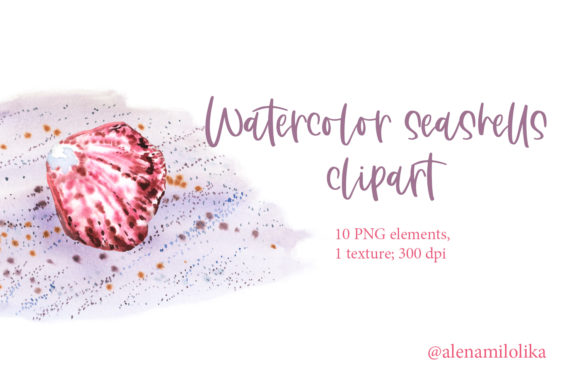 Watercolor Seashell Clipart. Sea Beach. Illustrations