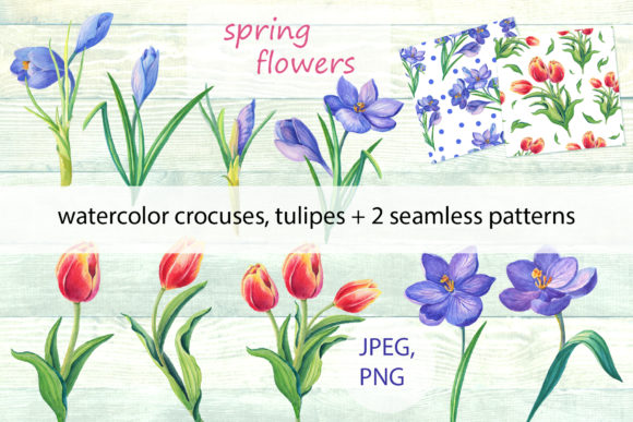 Watercolor Spring Flower Illustrations