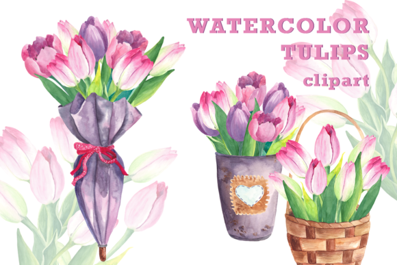 Watercolor Spring Tulip Flowers Clipart and Illustrations