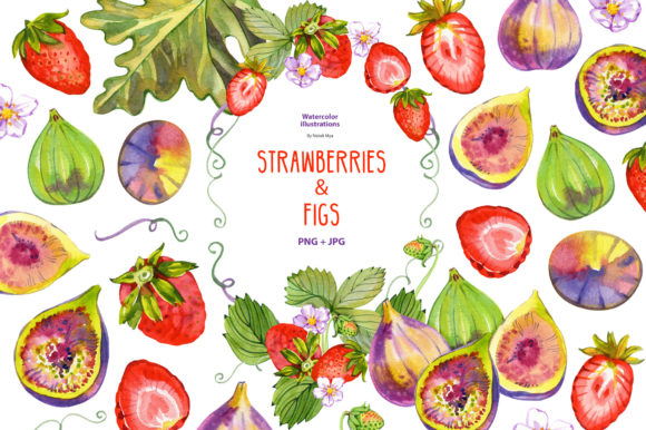 Watercolor Strawberries and Figs Illustrations