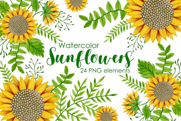 Watercolor Sunflowers Clipart and Illustrations