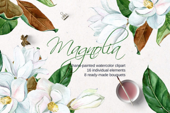 White Watercolor Magnolia Illustrations